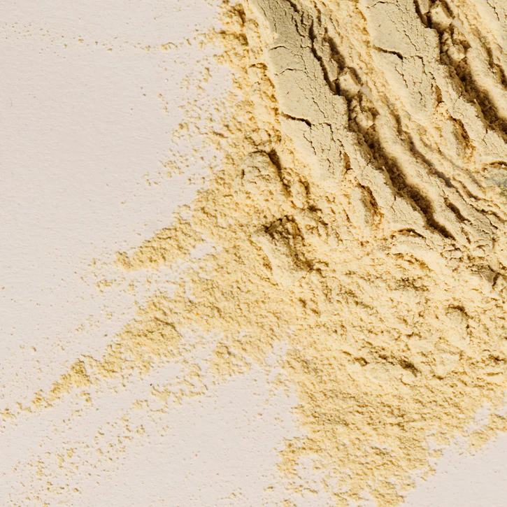 Nourishing Protein - Image 11